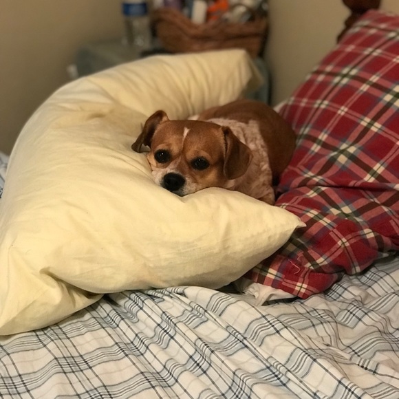 Meet your Posher, Angelia - Picture 1 of 1